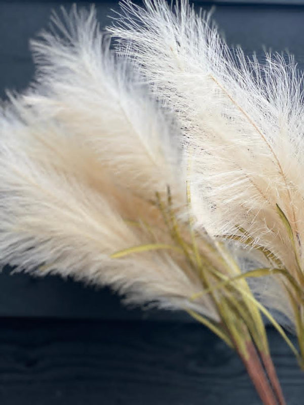 Pampas | Naturel