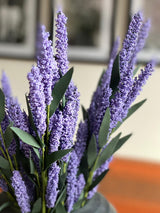 Lavendel | Paars